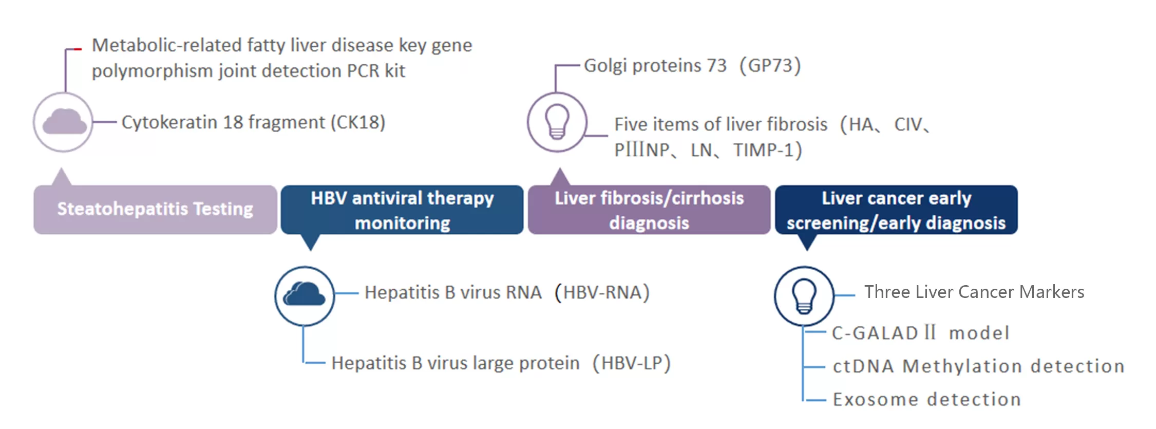 World Hepatitis Day, Pay Attention to Liver Health！